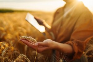 Assessoria de imprensa para o agronegócio