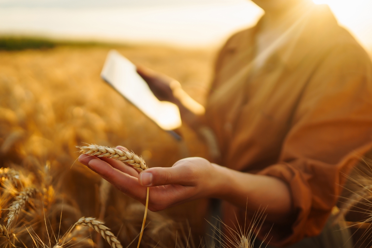 Assessoria de imprensa para o agronegócio